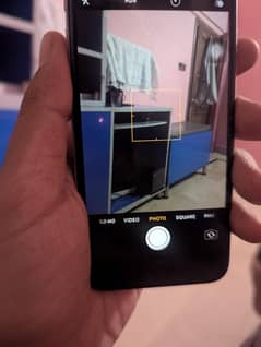 iphone 6