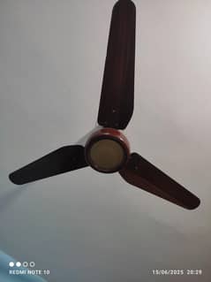Sk luxary Fans