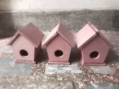 For Sale Showpic Bird Home