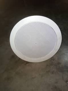 bose ds 16f loudspeaker