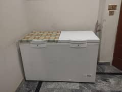 Refrigerator/Freezer