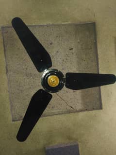 Black ceiling fan