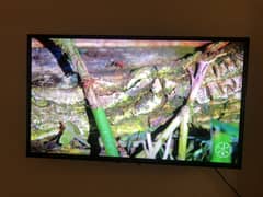 40 inch ka ha tv Company name tv ikon