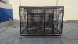 Iron Solid Cages for Big Parrots, Aseels or Fancy Pigeons