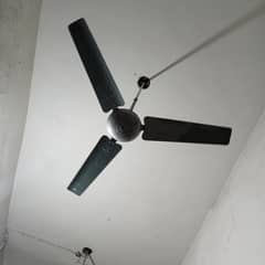 royal fan 56 inch
