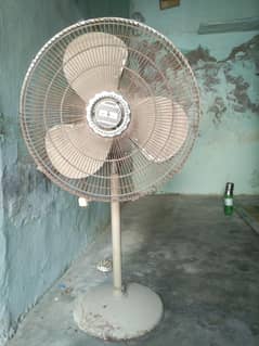 fan