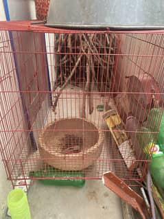 Cage for sale