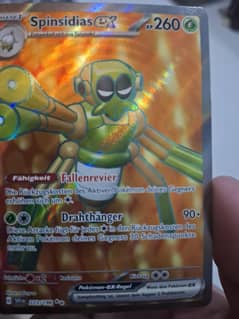 pokemon trading card spidos