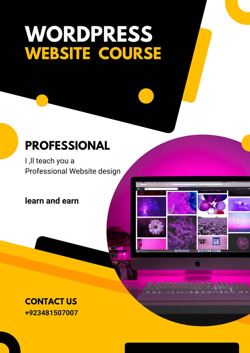Professional WordPress website Design Course 0