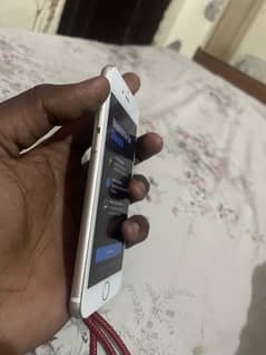 iPhone 6s pta approve