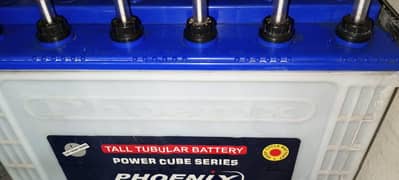 Phoenix Tall tubular TX 1800 ( Two) batteries for sell
