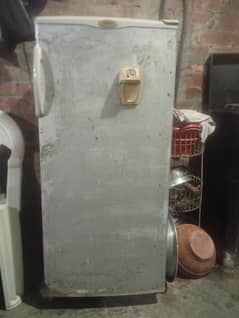 Haier