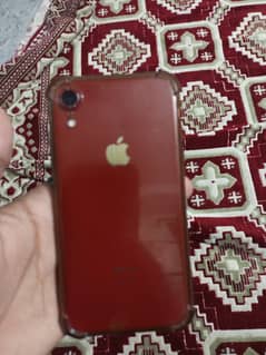 iPhoneXR