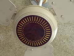 Celing Fan 70 watt almost new
