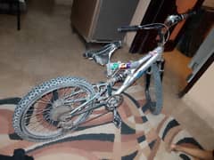 Imported Cycle with Gears