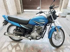 Yamaha YBZ 125  2019