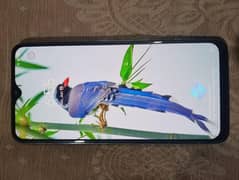 Vivo s1