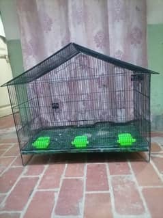 Cage