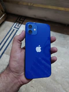 I phone 12 lush condition 128gb non pta factory unlocked