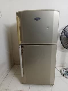 hair refrigerator