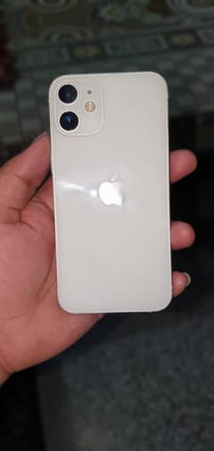 iphone 12 mini