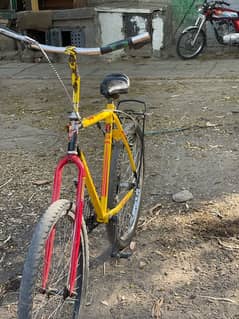 phoneix Cycle