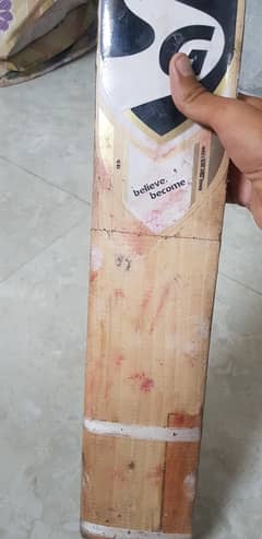 SG bat