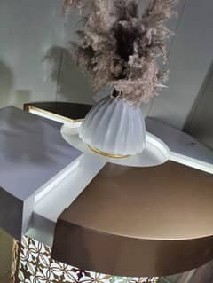 Perfume Counter
