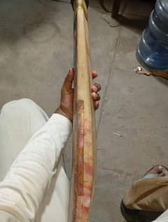 Cricket