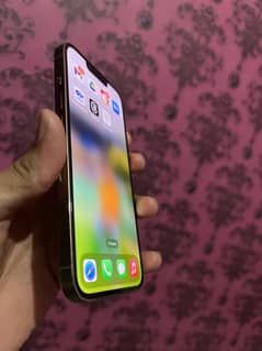 IPhone 13 Pro non pta