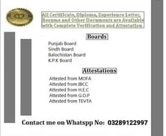 All diploma certificate experience letter resume available now