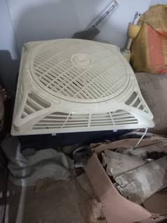 royal fan