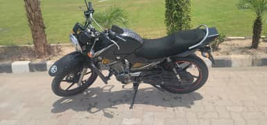 ybr g 125 convert 2025 urgent sale