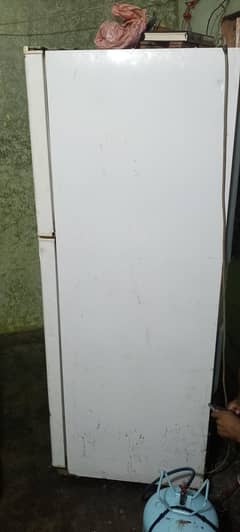 jaga ka masla he isliye bechrahe hen
