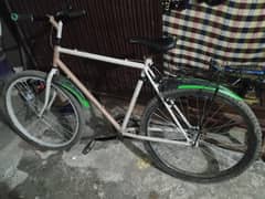 phoenix bicycle for sale