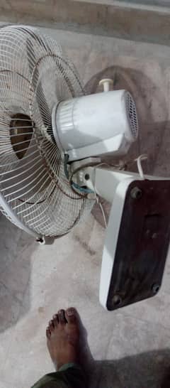Bracket Fan. 22o.