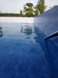 swimming
