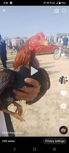 location Chakwal