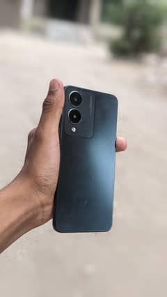 vivo