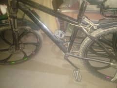 cycle for sale