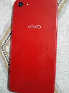 vivo
