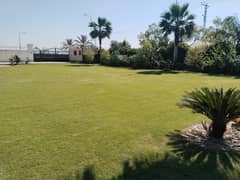 8 kanal luxury farmhouse available for rent