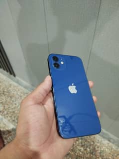 I phone 12 For Sale