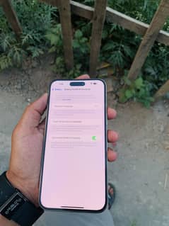 iPhone 14 Pro Max 256gb golden jv