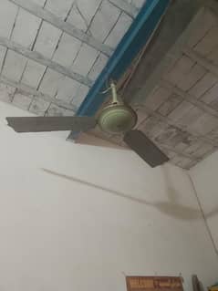 ceiling Fan cooper Motor