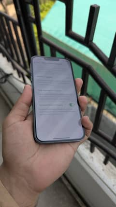 iPhone 13 Pro (JV) with Box