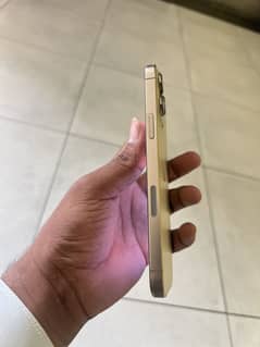 i phone 13 pro max