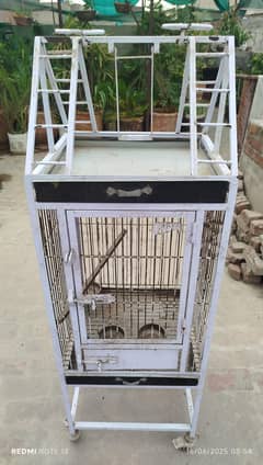 Raw parrot Cage
