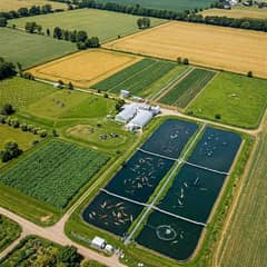 Agriculture Land Near To New Islamabad Air Port Moza Melu Sarkari Rasta Big Front Tottal 130 Kanal Best For Plotting And Farmhouse