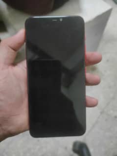 vivo